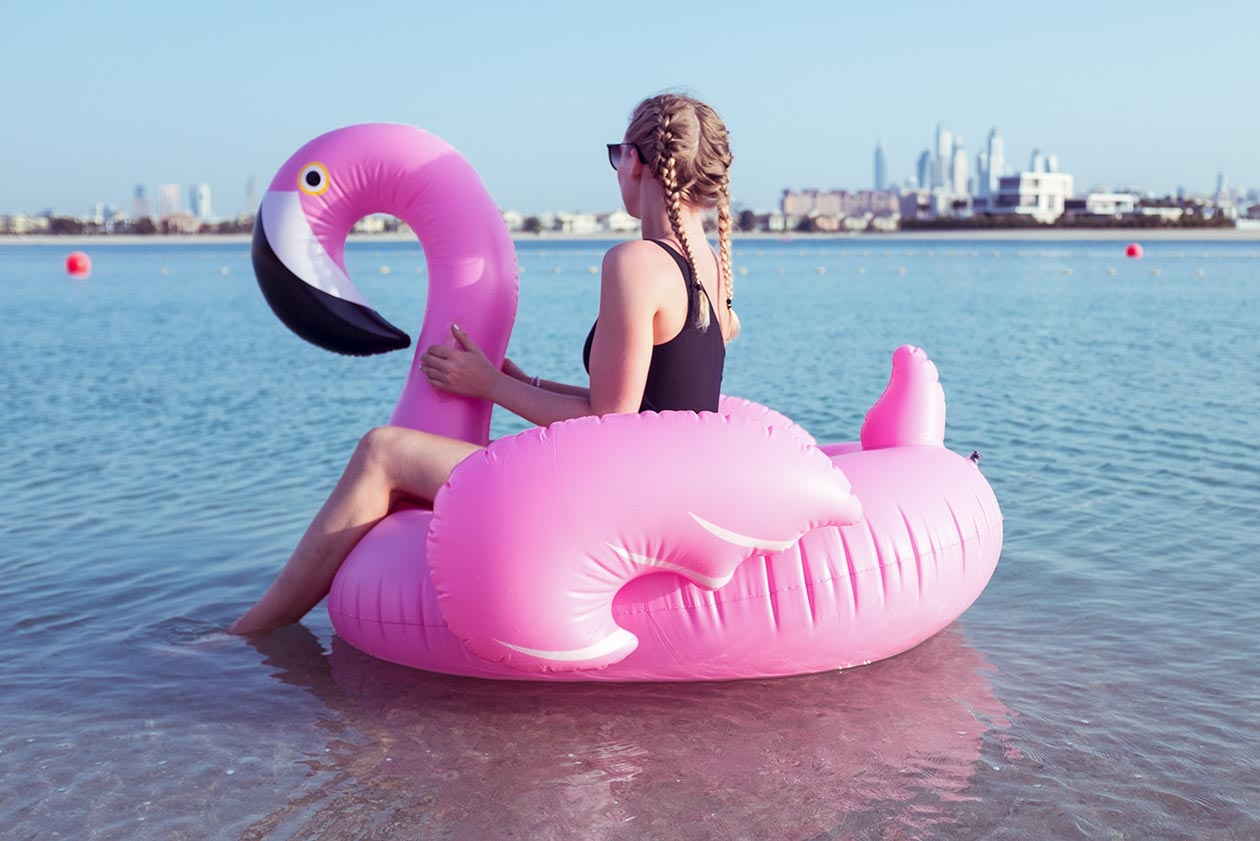 Sunnyinga Flamingo Dubai Meer Beach Travelblog